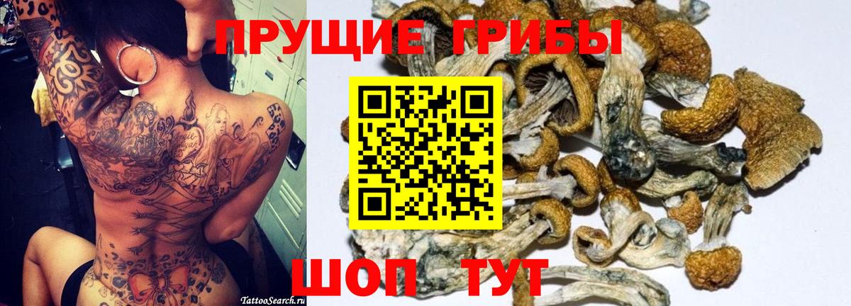 Псилоцибиновые грибы GOLDEN TEACHER  Вход с VPN  Ярцево  Галлюциногенные грибы Magic Shrooms 